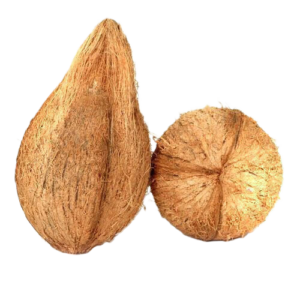 Brown Coconut (1 pcs)