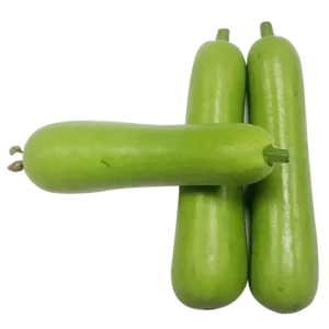 Baby Bottle Gourd (Lauki)