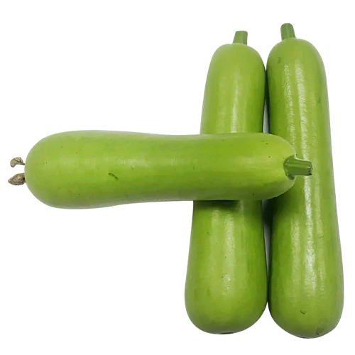 Baby Bottle Gourd (Lauki)