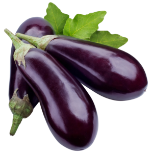 Long Brinjal