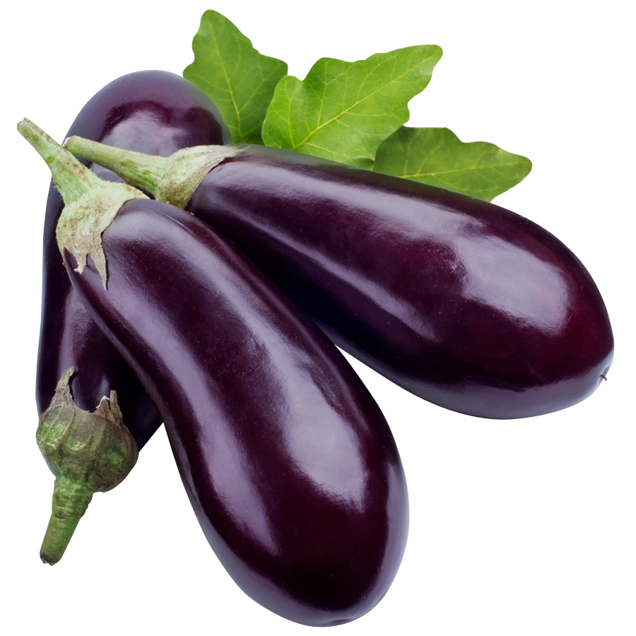 Long Brinjal
