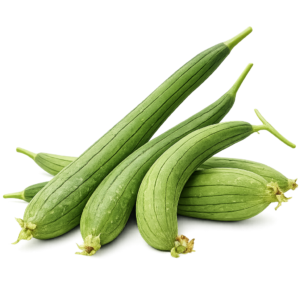 Sponge Gourd (Gilki)