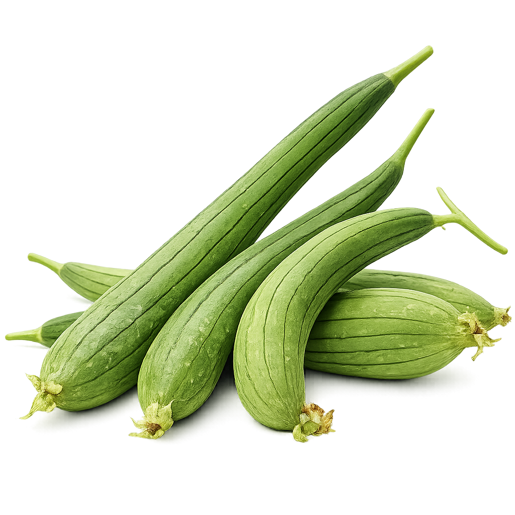 Sponge Gourd (Gilki)