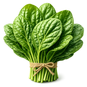 Spinach (Palak)