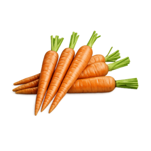 Carrot (Gajar)