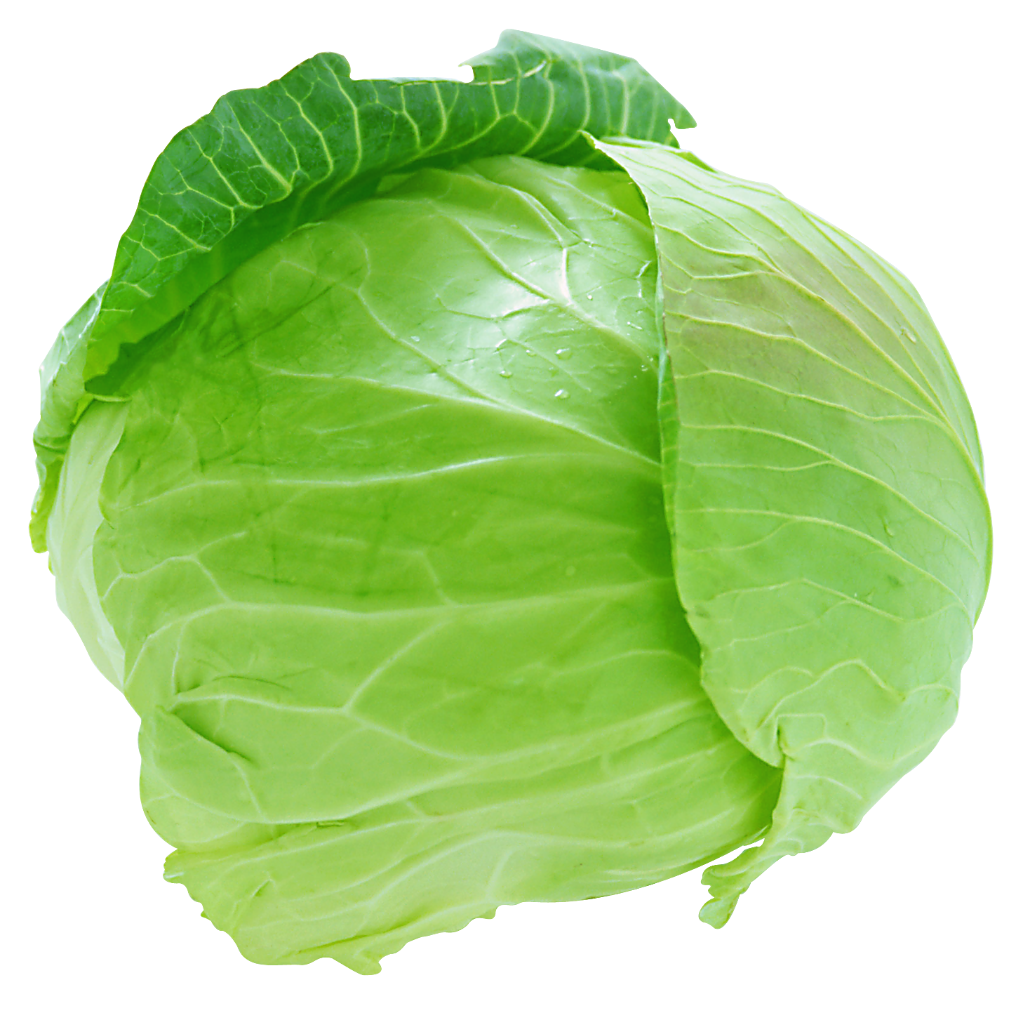 Cabbage (Patta Gobhi)