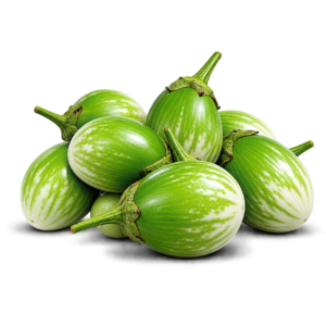 Green Brinjal