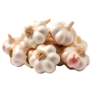 Garlic