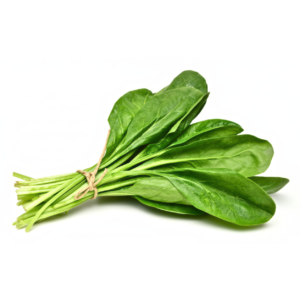 Spinach (Palak)