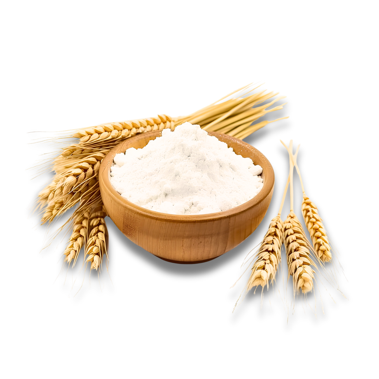 Maida (Refined Wheat Flour)