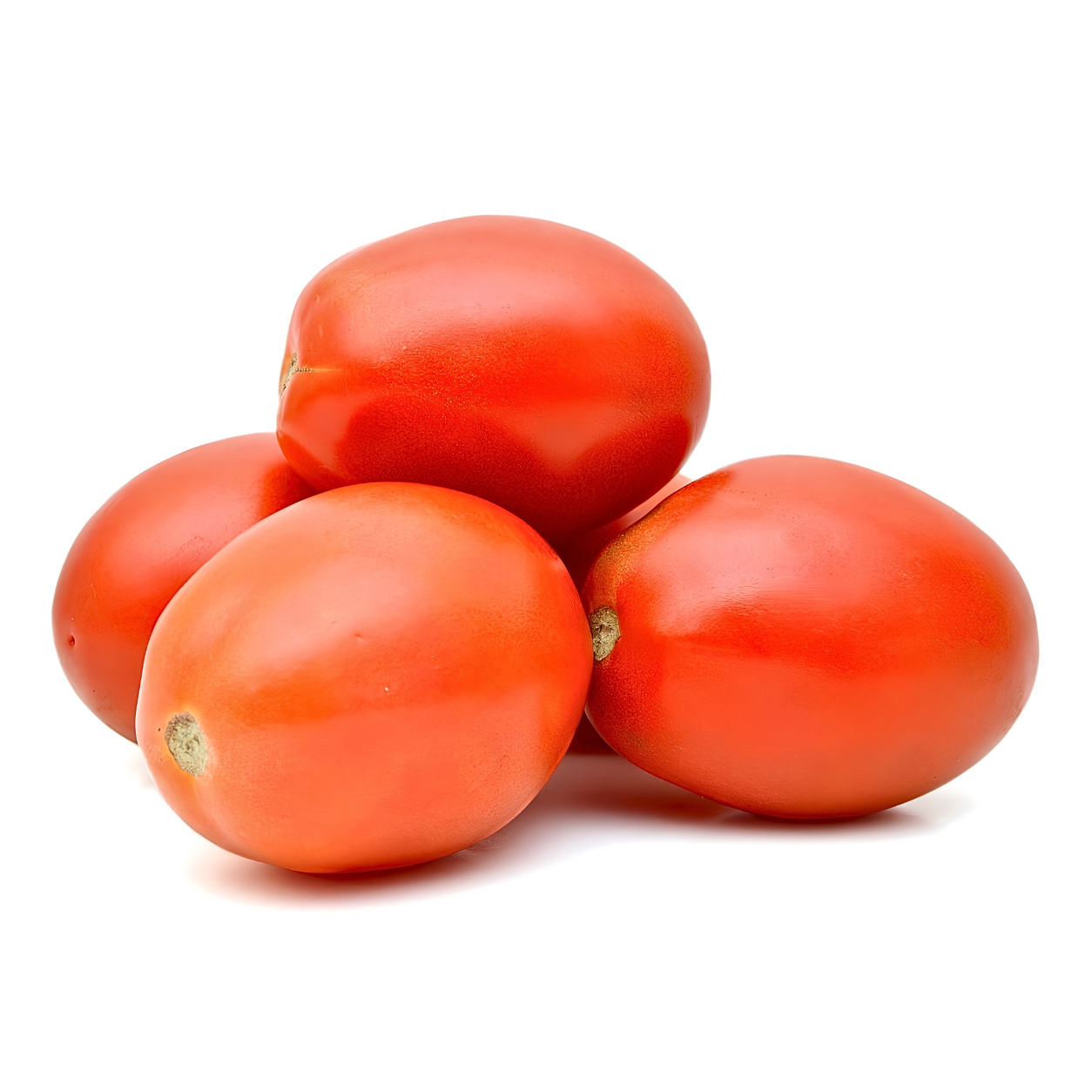 Tomato (Hybrid)