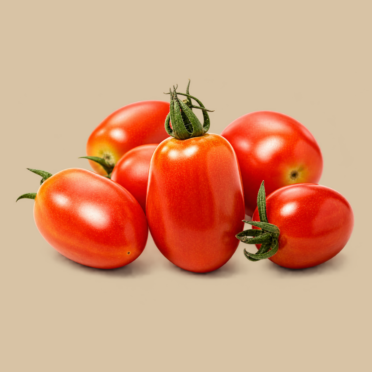 Organically Grown Tomato (Hybrid)