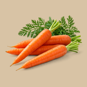 Organically Grown Carrot