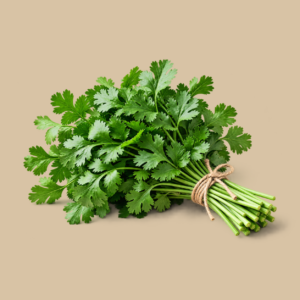 Organically Grown Coriander (Without Roots)